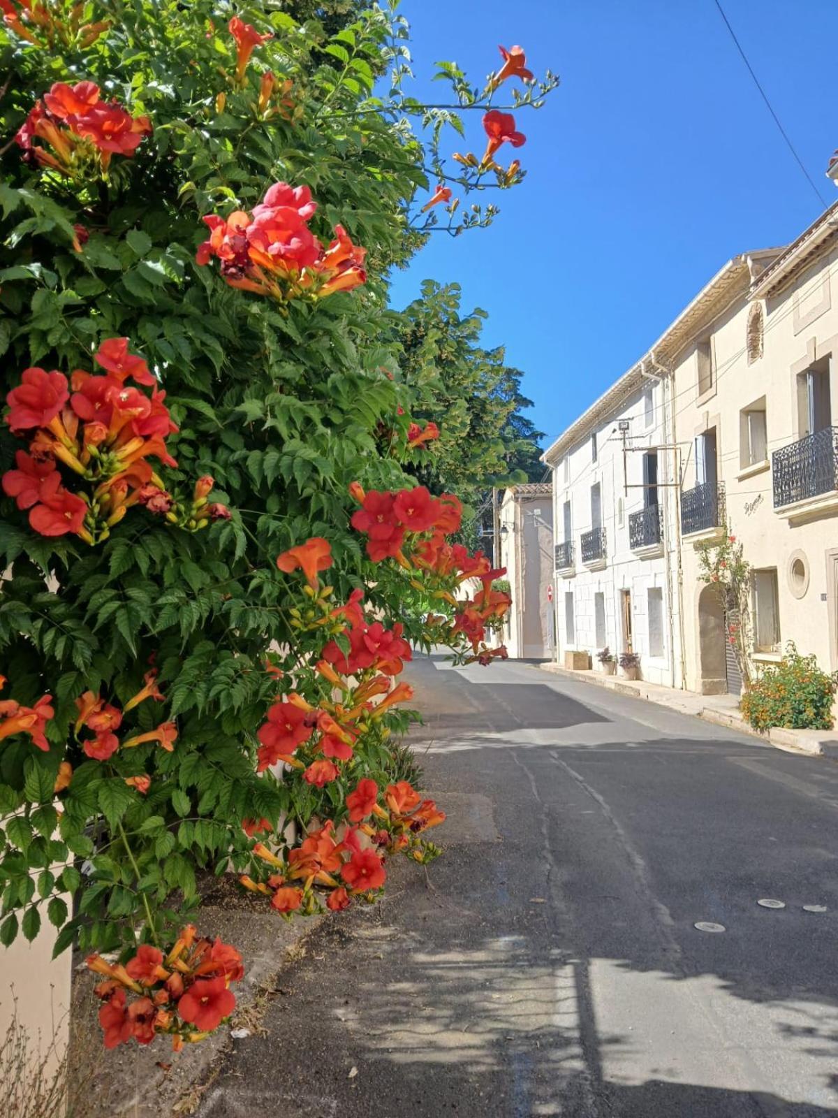L'Oostaloo Logement De Vacances Usclas-l'Herault 외부 사진